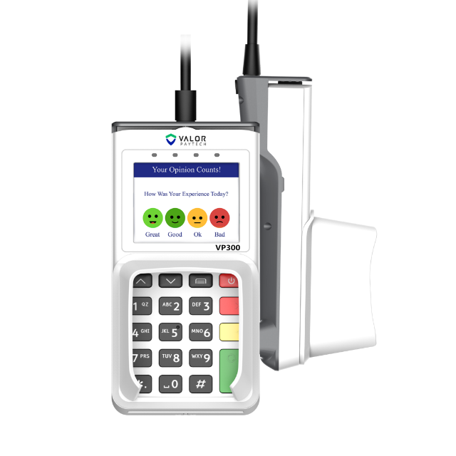 Valor VP300